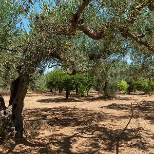 In Campagna A Casa vacanze